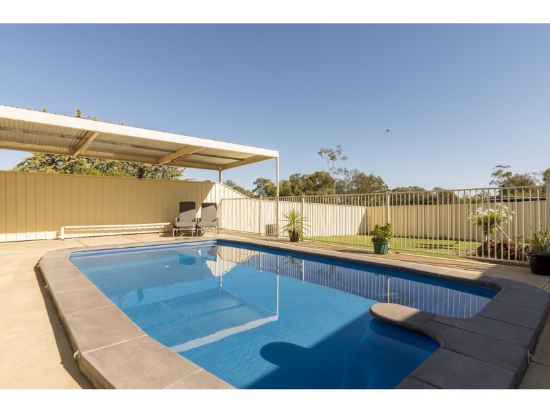 12 Sunnydale Avenue, Gawler East SA 5118