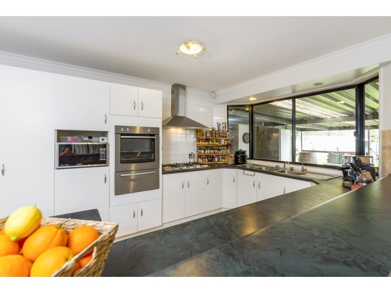46 Daintree Walk, Blakeview SA 5114