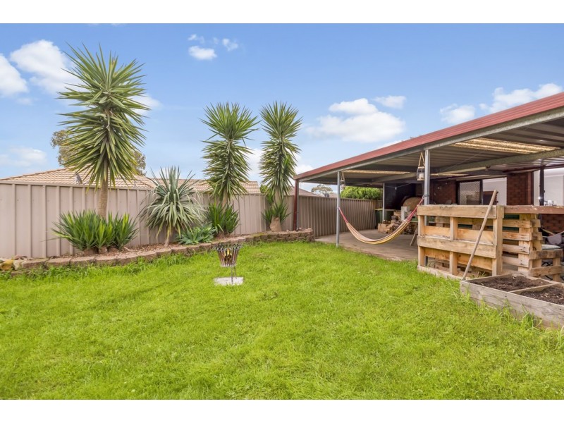 46 Daintree Walk, Blakeview SA 5114