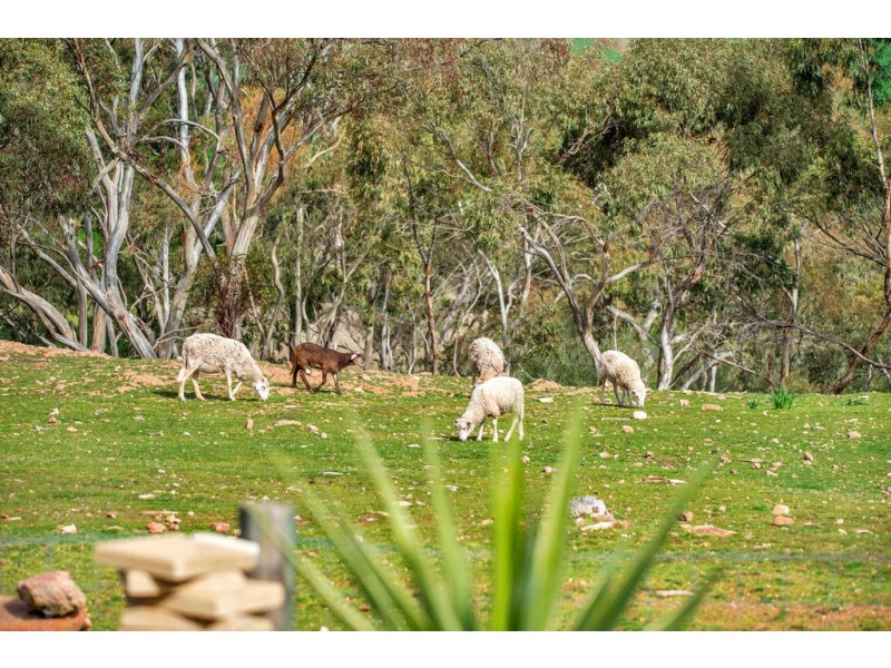 408 Kentish Road, Uleybury SA 5114