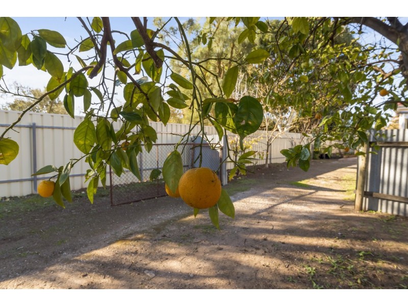 11 Aerodrome Road, Mallala SA 5502