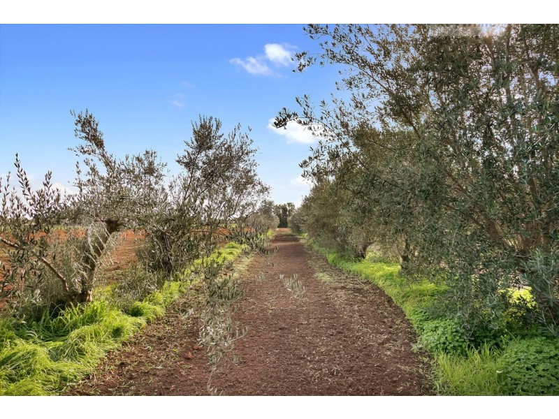 11 Dawkins Road, Two Wells SA 5501