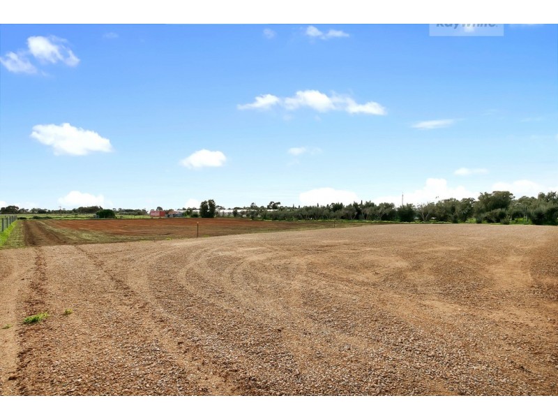 11 Dawkins Road, Two Wells SA 5501