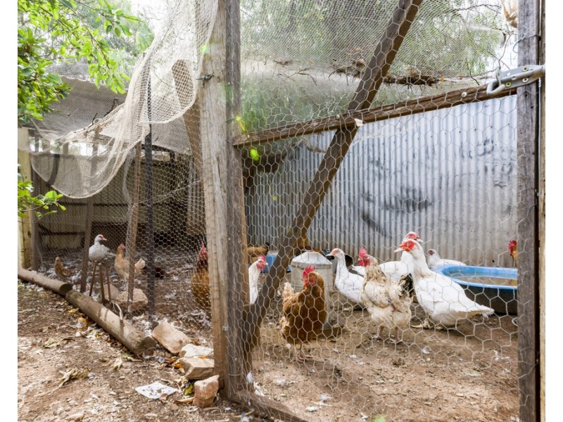 57 Old Adelaide Road, Kapunda SA 5373