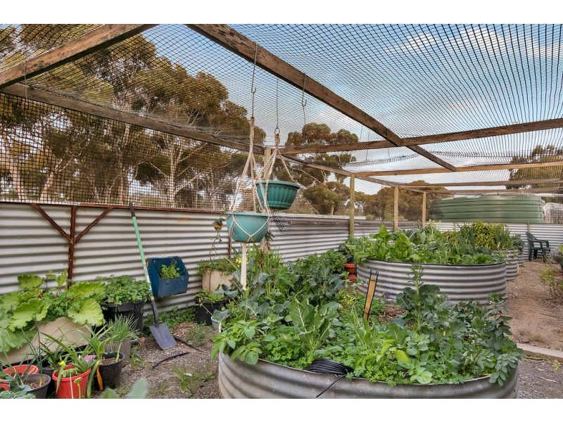 38 Artesian Road West, Two Wells SA 5501