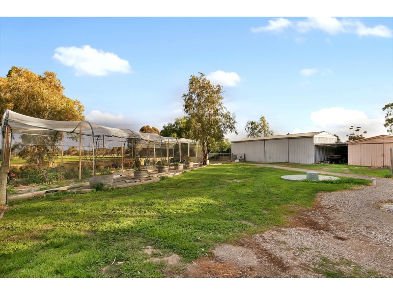 38 Artesian Road West, Two Wells SA 5501
