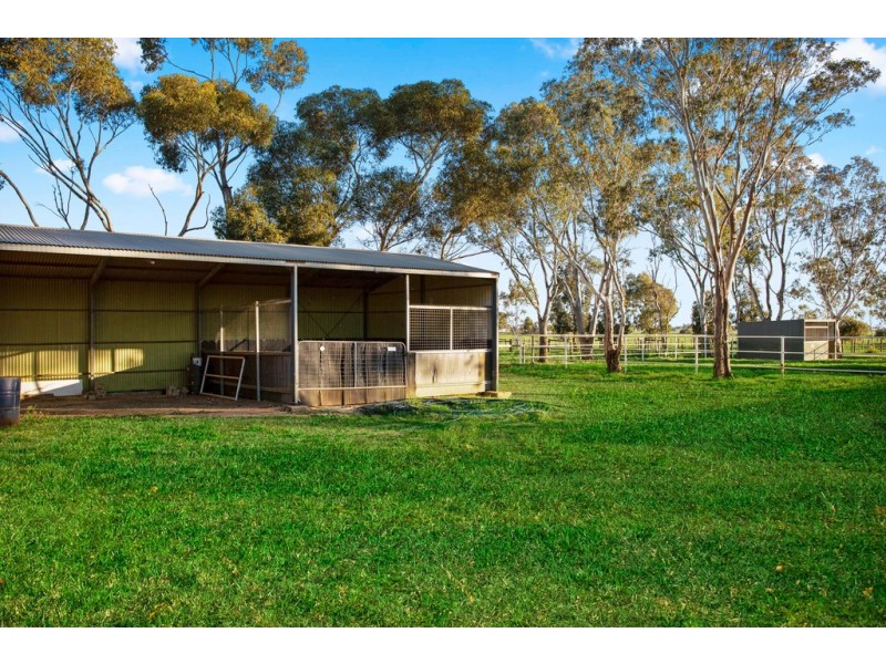 704 Harris Road, Wasleys SA 5400