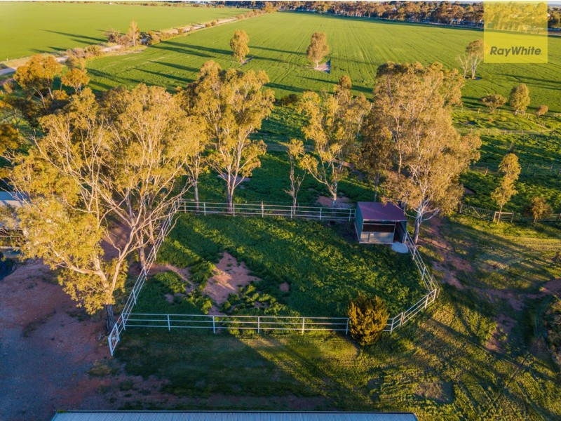 704 Harris Road, Wasleys SA 5400