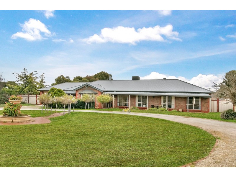 9 Palomino Court, Roseworthy SA 5371