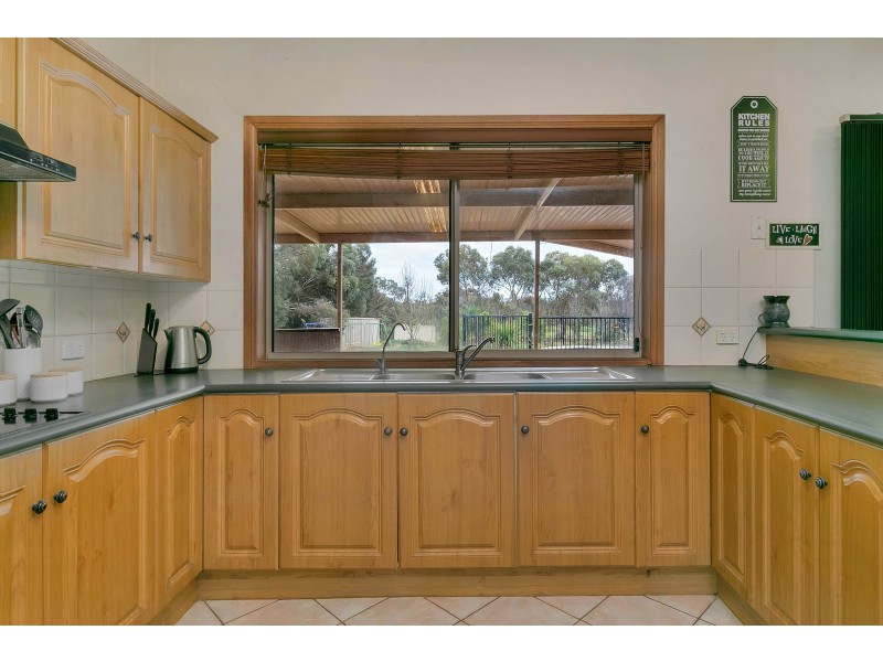 9 Palomino Court, Roseworthy SA 5371