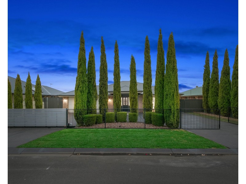 86 Hanson Street, Freeling SA 5372