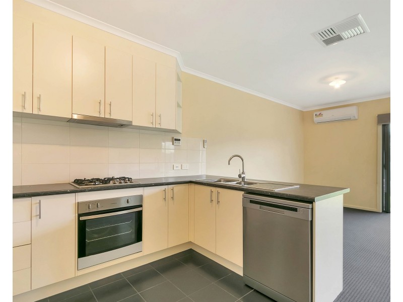 11 Livingston Street, Evanston Gardens SA 5116