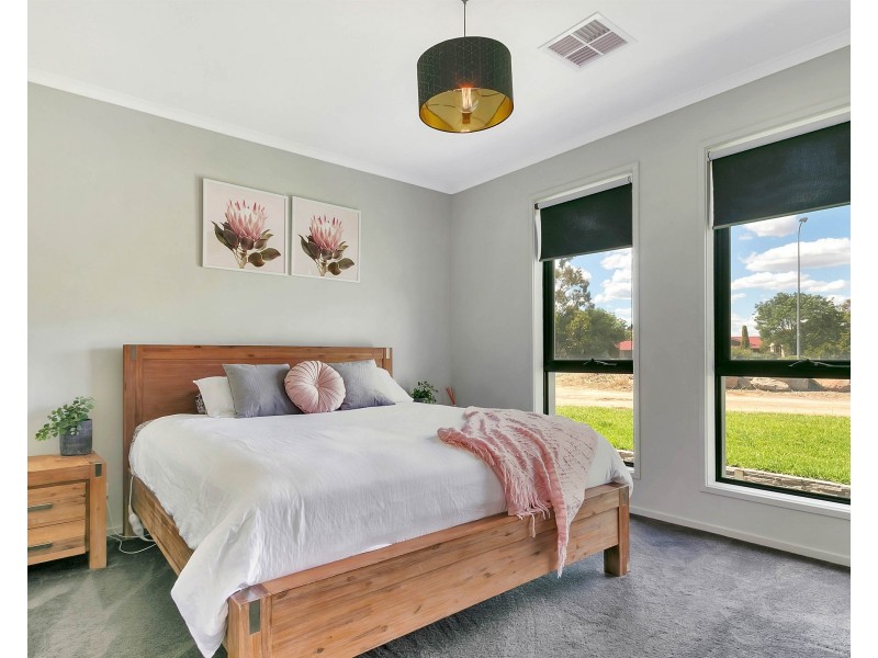 41 Fiddlewood Drive, Freeling SA 5372