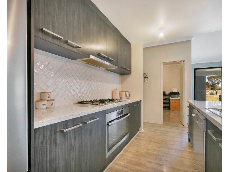 41 Fiddlewood Drive, Freeling SA 5372