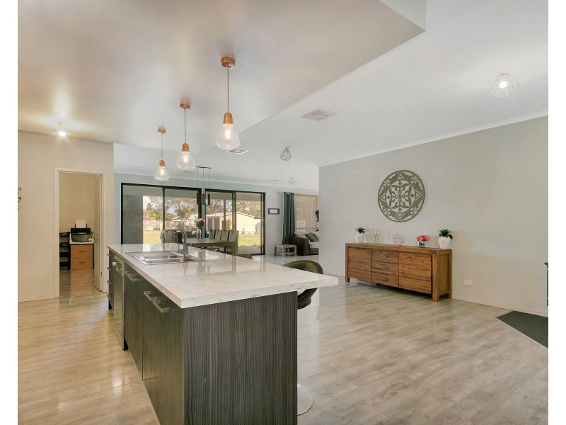 41 Fiddlewood Drive, Freeling SA 5372