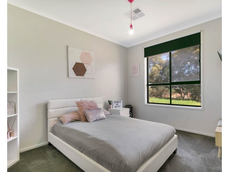 41 Fiddlewood Drive, Freeling SA 5372