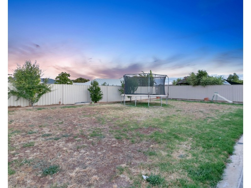 6 McCallum Road, Freeling SA 5372