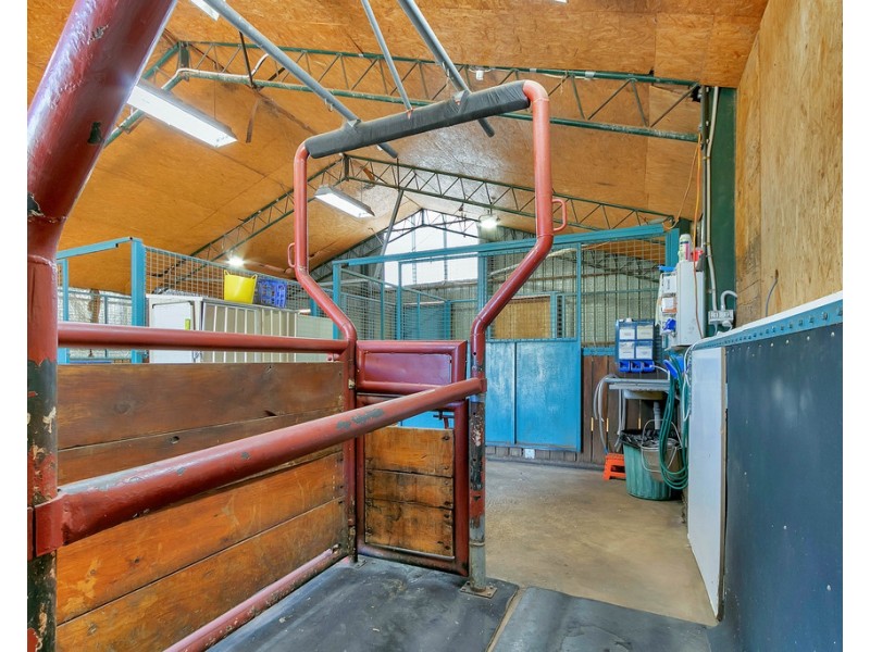 1951 Two Wells Road, Buchfelde SA 5118