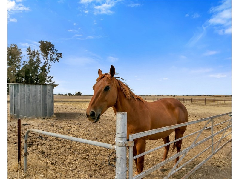 1020 Old Main Road South, Riverton SA 5412