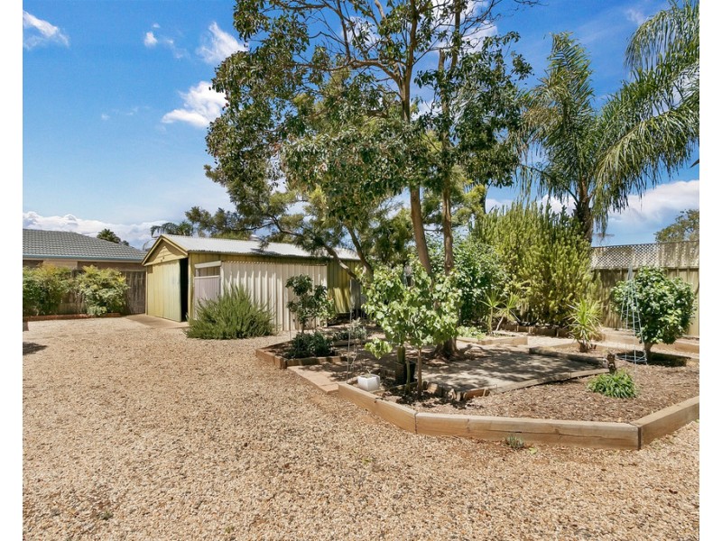 12 Rau Avenue, Evanston SA 5116