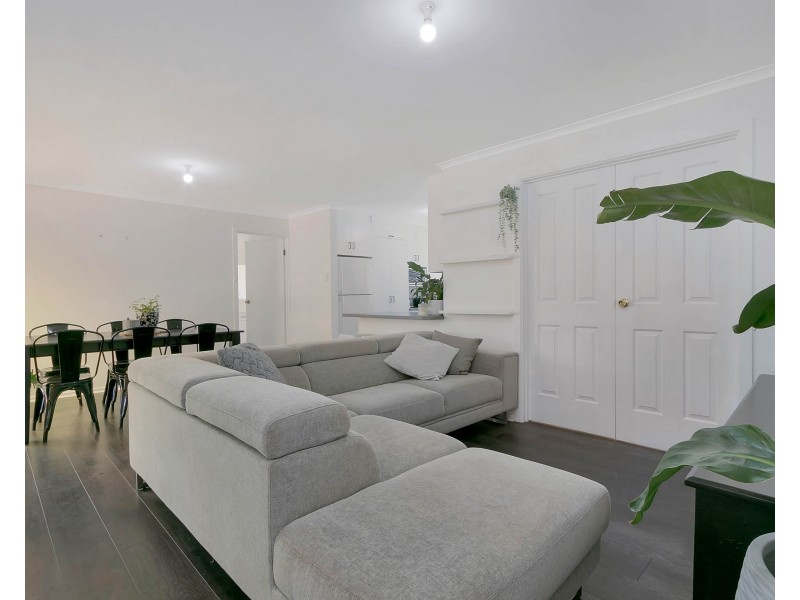 16 Addis Street, Evanston Park SA 5116