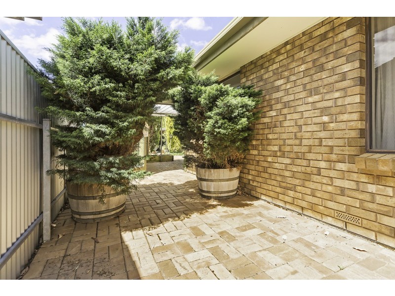 24 Panter Street, Willaston SA 5118