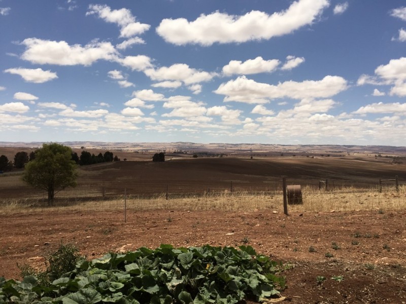 866 Alma Road, Hamley Bridge SA 5401