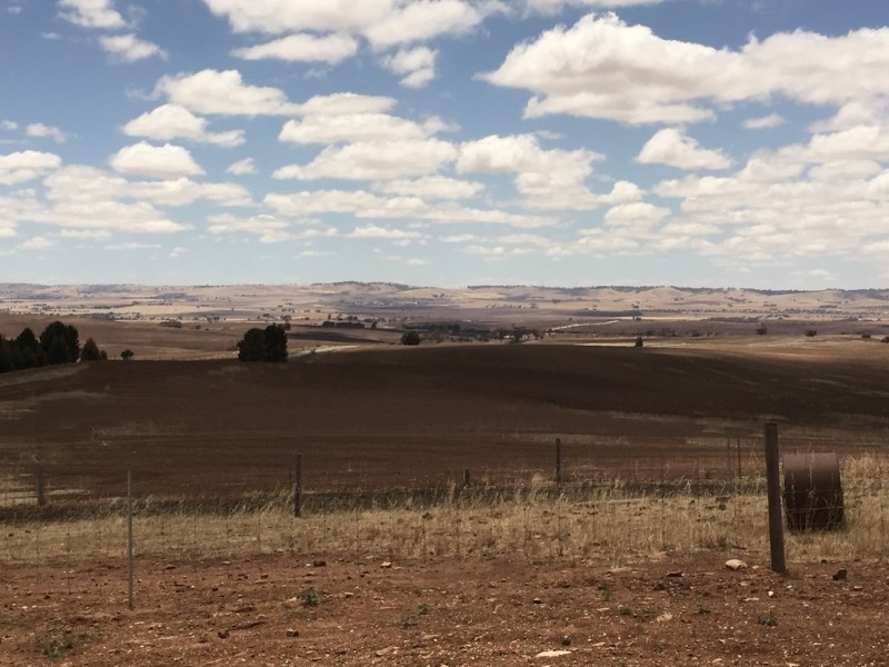 866 Alma Road, Hamley Bridge SA 5401