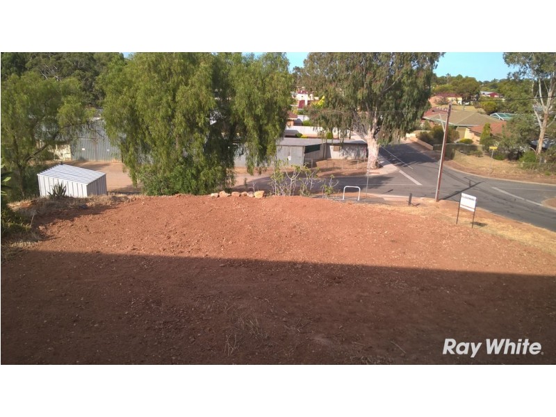 30 Burrows Street, Willaston SA 5118
