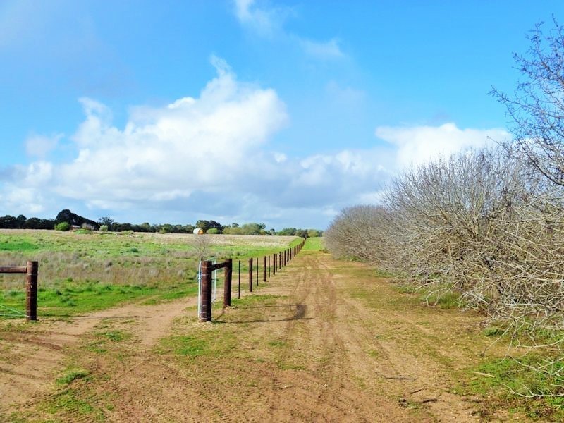 Lot 1 Frost Road North, Lewiston SA 5501