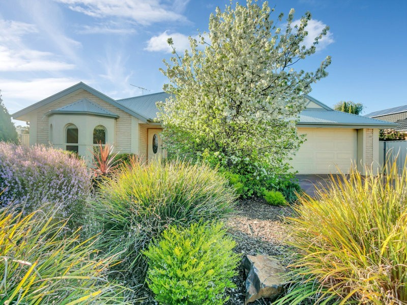 17 Meaney Dr, Freeling SA 5372