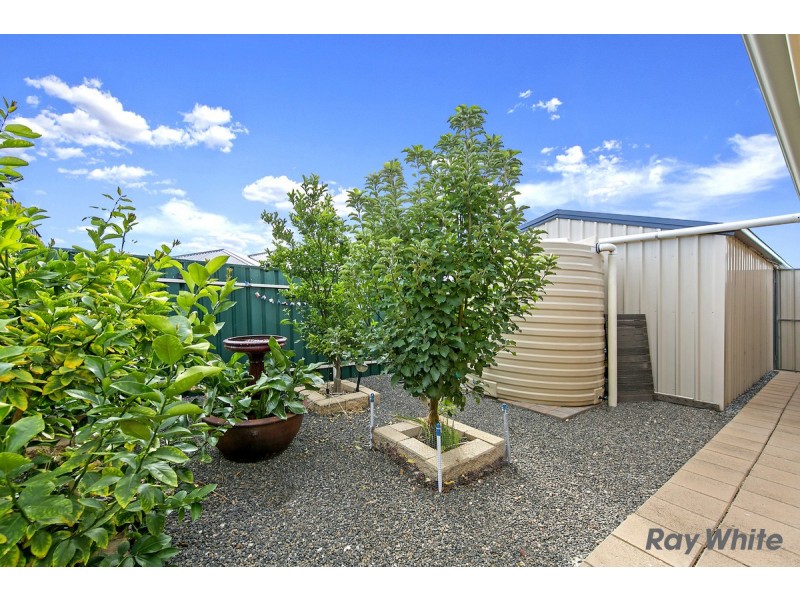 45 Kingate Blv, Blakeview SA 5114