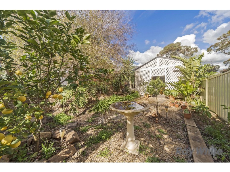 98 Lyndoch Road, Gawler East SA 5118