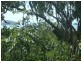 62-64 Ellison Street, Clifton Beach QLD 4879