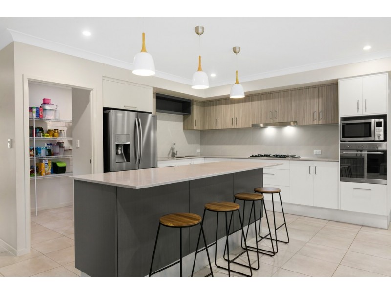 14 Elderberry Avenue, Bentley Park QLD 4869