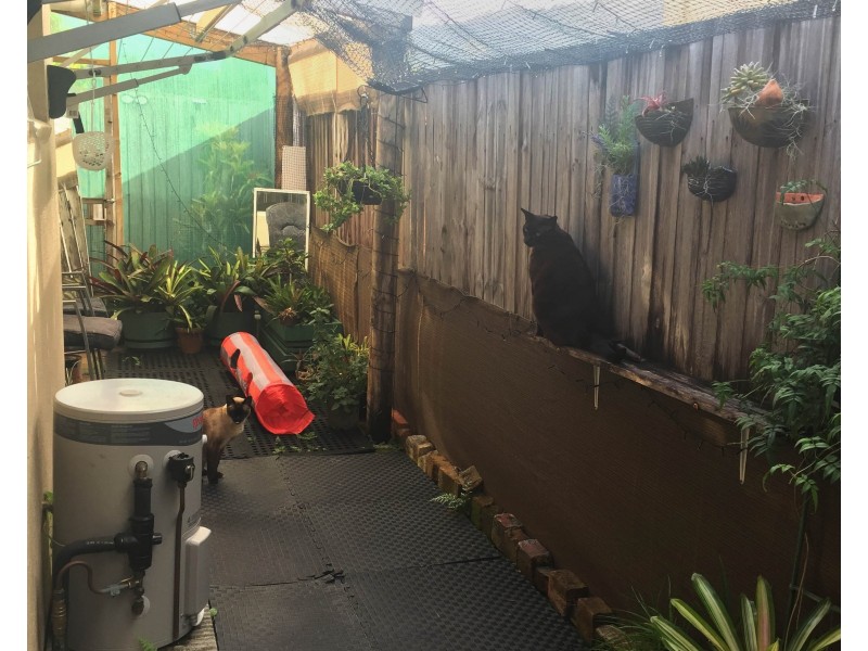 4/15 Ingham Court, Mooroobool QLD 4870