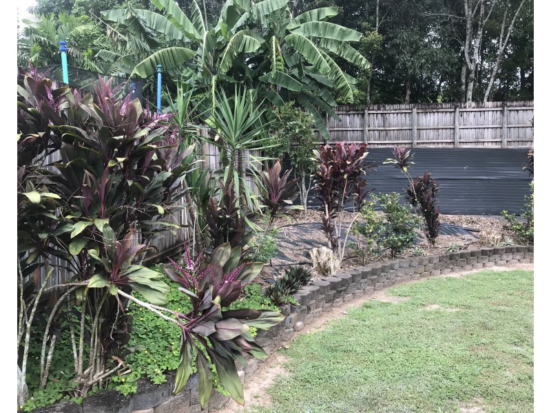 13 Milko Close, Brinsmead QLD 4870