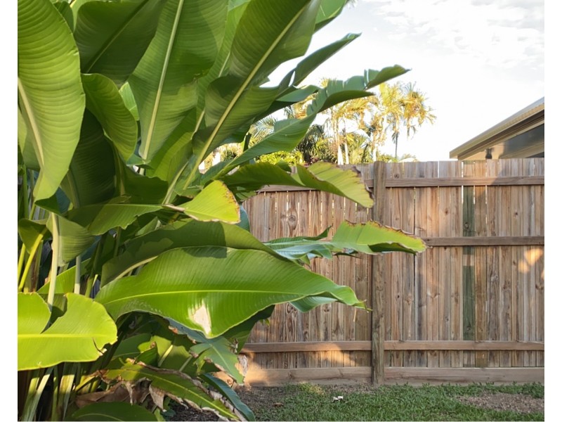 1/573 Mulgrave Road, Earlville QLD 4870