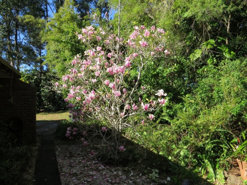 14 Hyrama Crescent, Mullumbimby NSW 2482