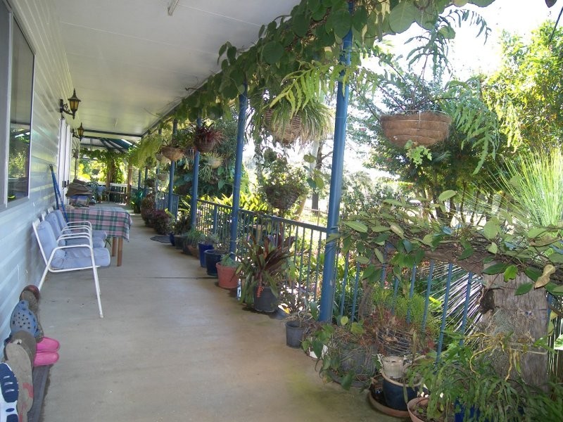 59 Crabbes Creek Rd, Crabbes Creek NSW 2483