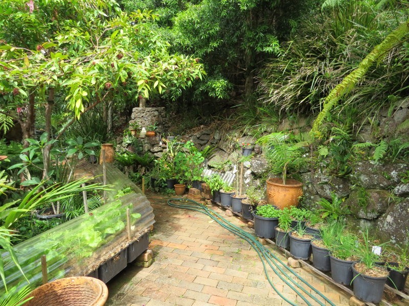 9 Inderwong Ave, Ocean Shores NSW 2483