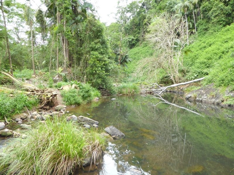 171 Upper Wilsons Creek Road, Wilsons Creek NSW 2482