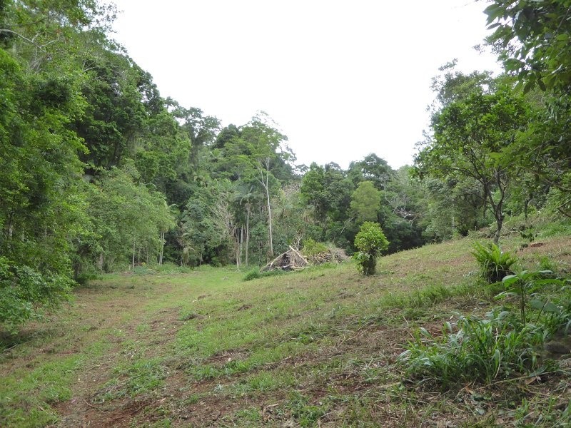 171 Upper Wilsons Creek Road, Wilsons Creek NSW 2482