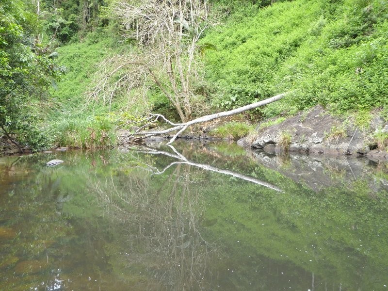 171 Upper Wilsons Creek Road, Wilsons Creek NSW 2482