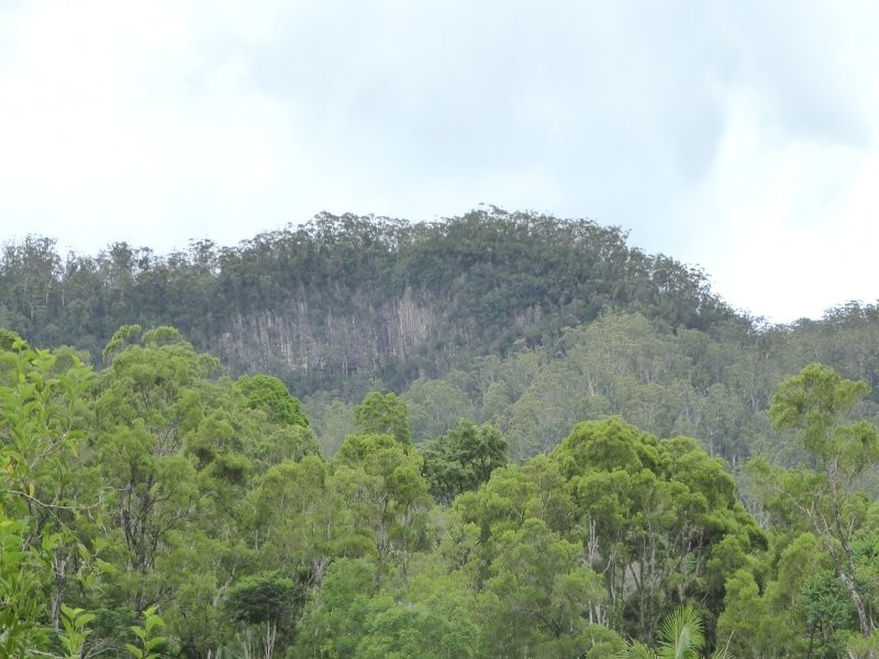 171 Upper Wilsons Creek Road, Wilsons Creek NSW 2482