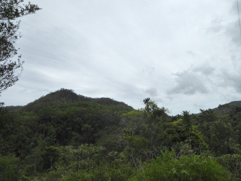 171 Upper Wilsons Creek Road, Wilsons Creek NSW 2482