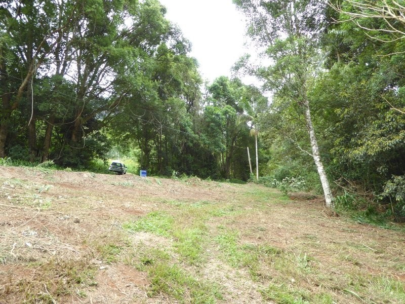 171 Upper Wilsons Creek Road, Wilsons Creek NSW 2482