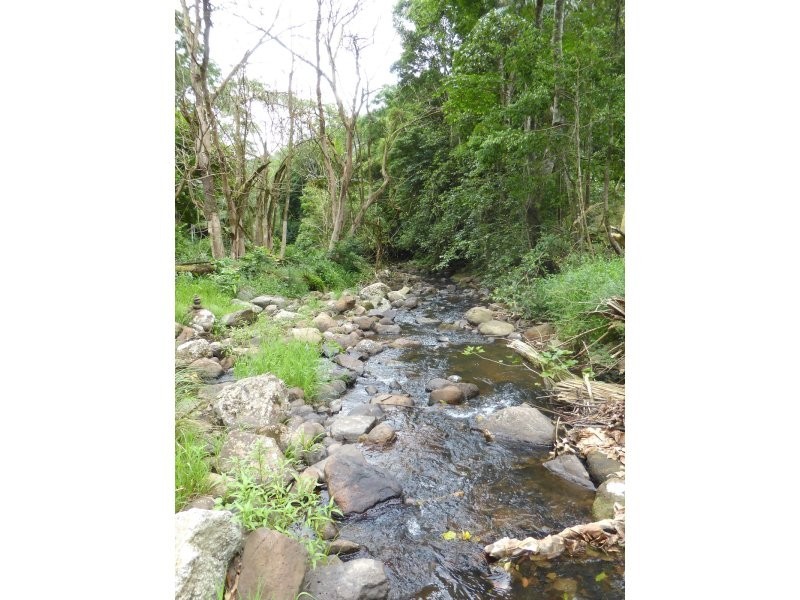 171 Upper Wilsons Creek Road, Wilsons Creek NSW 2482