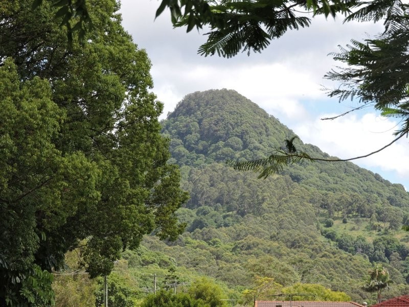 11 Nightcap Court, Mullumbimby NSW 2482