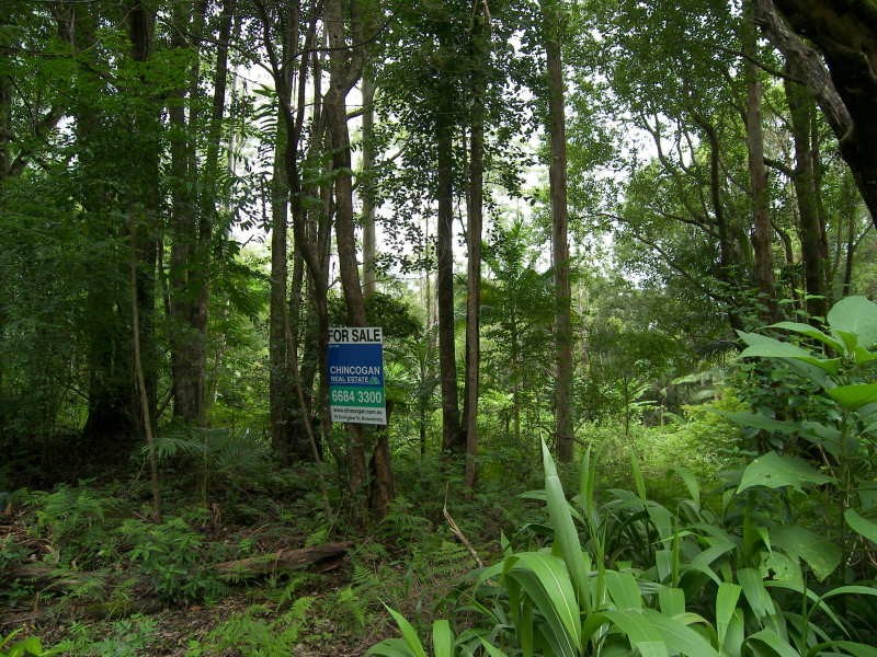 247 Huonbrook Road, Huonbrook NSW 2482